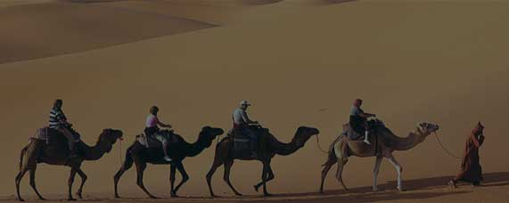 jaisalmer hotels & Activities
