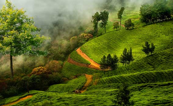 kerala